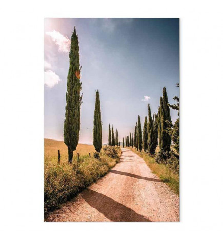 Canvas Print - Italian cypresses (1 Part) Vertical