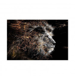 Quadro - King of the Sun (1 Part) Wide