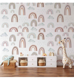 Wall Mural - Rainbow After Rain