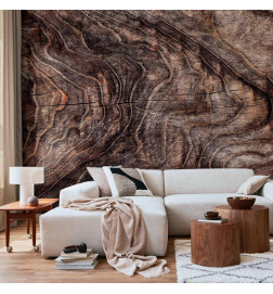 Mural de parede - Signs of the times - an abstract background with the wrinkled bark of an old tree