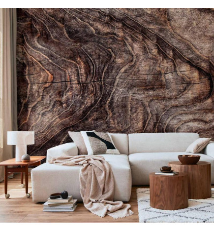 Fototapeet - Signs of the times - an abstract background with the wrinkled bark of an old tree