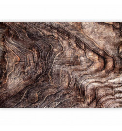 Fotobehang - Signs of the times - an abstract background with the wrinkled bark of an old tree
