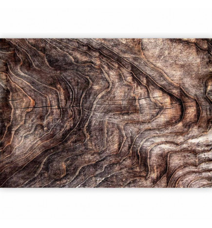 Fototapetas - Signs of the times - an abstract background with the wrinkled bark of an old tree