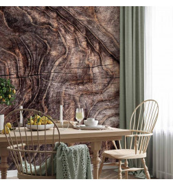 Fototapeta - Signs of the times - an abstract background with the wrinkled bark of an old tree