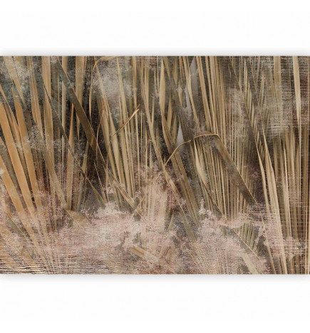 Fototapeet - Dry leaves - landscape of tall grasses in boho style with paint patterns
