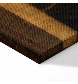 Tableau - Leonardo da Vinci – Beautiful Ferronière