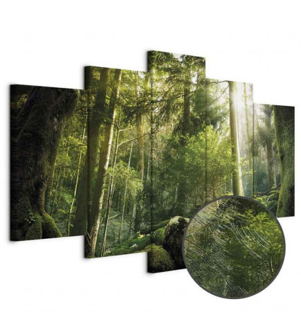 Quadro - The Beauty of the Forest