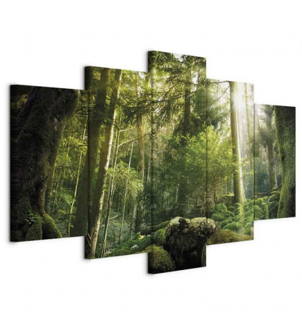 Schilderij - The Beauty of the Forest