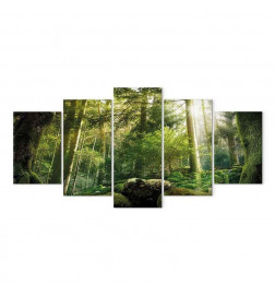 Cuadro - The Beauty of the Forest