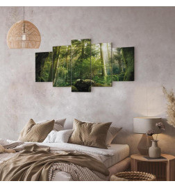 Leinwandbild - The Beauty of the Forest