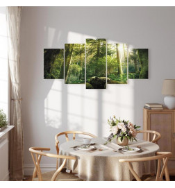 Canvas Print - The Beauty of the Forest