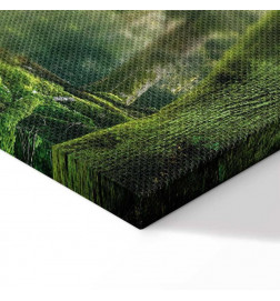 Quadro - The Beauty of the Forest