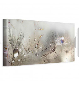 Canvas Print - Morning Song