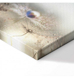 Quadro - Morning Song