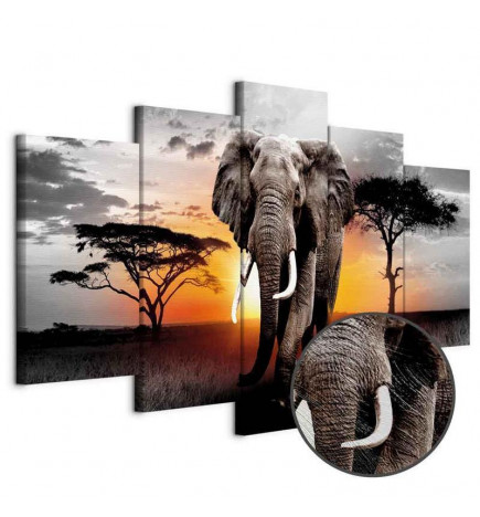 Paveikslas - Elephant at Sunset