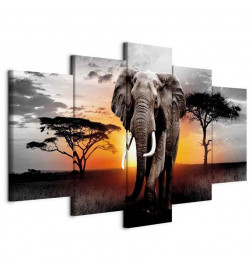 Schilderij - Elephant at Sunset