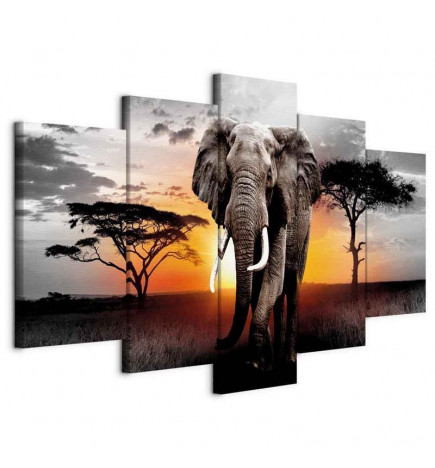 Canvas Print - Elephant at Sunset