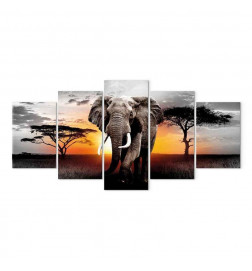 Leinwandbild - Elephant at Sunset