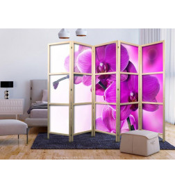 Paravan japonez - Violet Orchids II