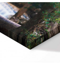 Quadro - Buddha and waterfall