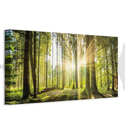 Leinwandbild - Daylight