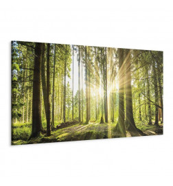 Leinwandbild - Daylight