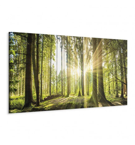 Leinwandbild - Daylight