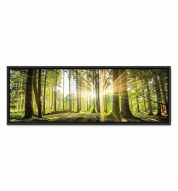 Canvas Print - Daylight