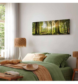 Canvas Print - Daylight