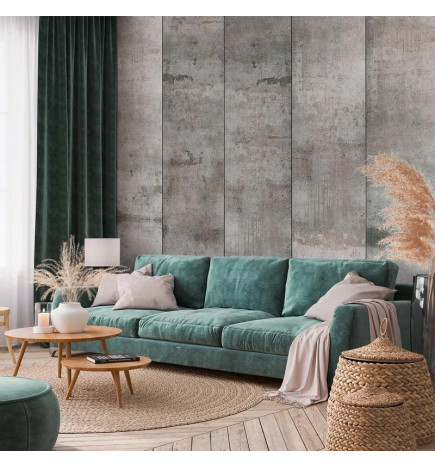 Tappezzeria murale - Gray pigeon