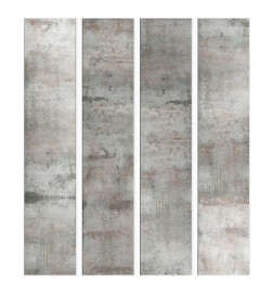 Wallpaper - Gray pigeon