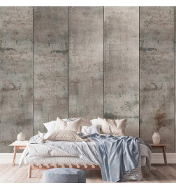 Tappezzeria murale - Gray pigeon