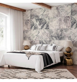 Tappezzeria murale - Cold rocks