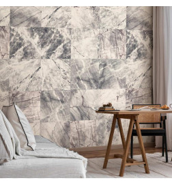 Tappezzeria murale - Cold rocks