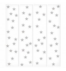 Papel pintado - Stellar Trail