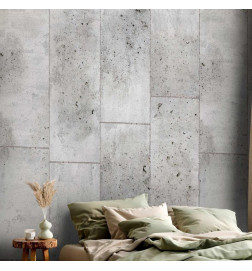 Papel de parede - Concretum murum