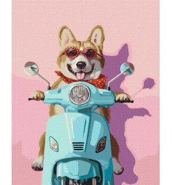 Malen nach Zahlen - Dog on a scooter