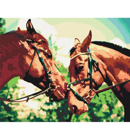 Paint By Numbers Kit - Two Horses