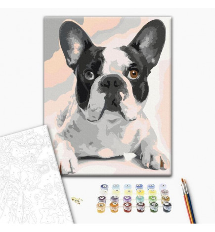 Cuadro para colorear - French Bulldog