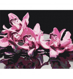 Platno za samostojno slikanje - Pink Orchid (Black Background)