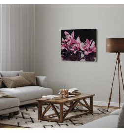 Quadro pintado por você - Pink Orchid (Black Background)