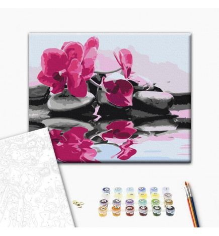 Malen nach Zahlen - Orchid With Zen Stones (Reflection In The Water)