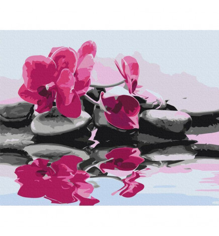 Paint By Numbers Kit - Orchid With Zen Stones (Reflection In The Water)