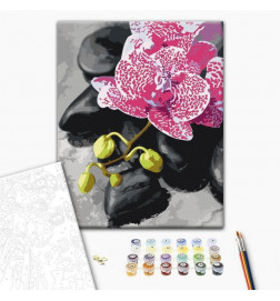 Cuadro para colorear - Pink Orchid
