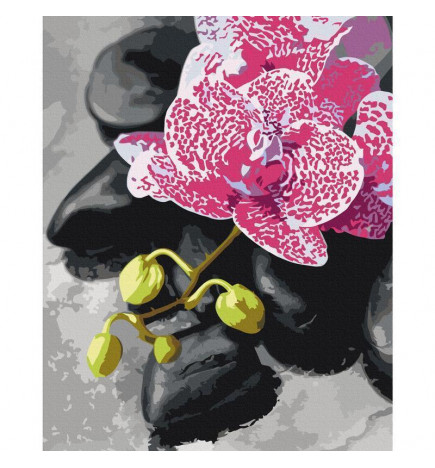 Doe-het-zelf op canvas schilderen - Pink Orchid
