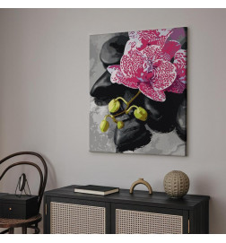 Cuadro para colorear - Pink Orchid