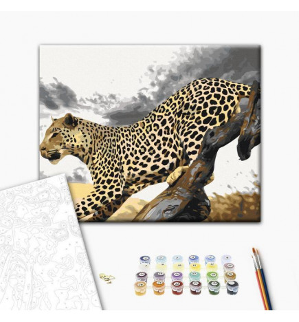 Cuadro para colorear - Cheetah