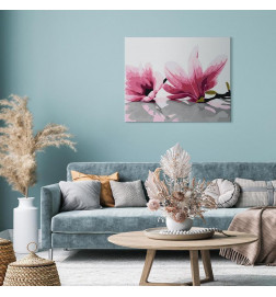 Tapybos pagal skaičius rinkinys - Magnolia (White Background)