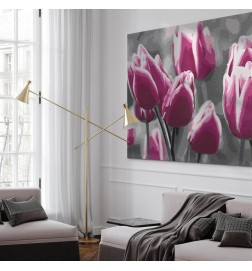 Tapybos pagal skaičius rinkinys - Tulip Field