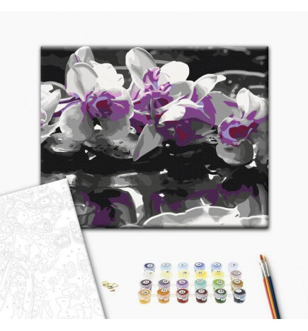 Quadro pintado por você - Purple Orchid (Black Background & Reflection In The Water)